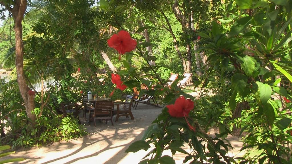 Pousada Tassimirim Velha Boipeba Exteriör bild
