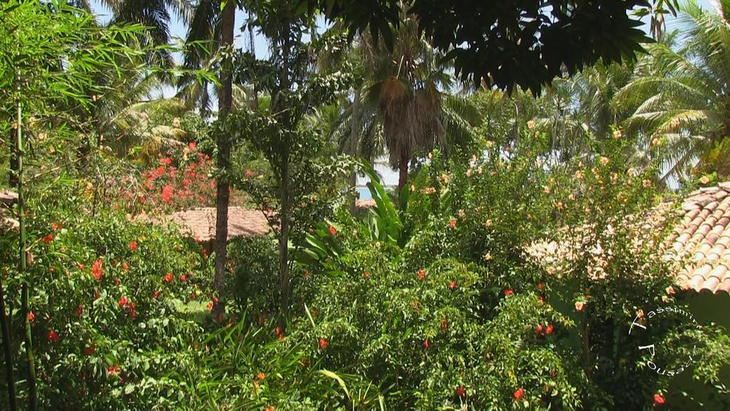 Pousada Tassimirim Velha Boipeba Exteriör bild